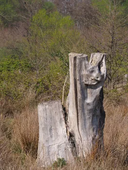 Kalkense Meersen (België)